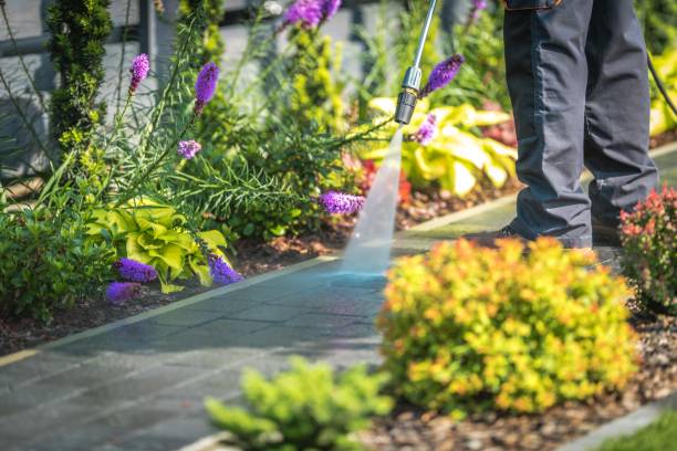 Best Warehouse Cleaning  in Mount Angel, OR