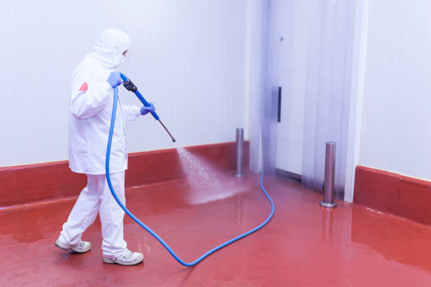 Trusted Mount Angel, OR Pressure Washing Services Experts